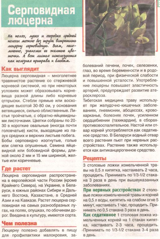 Люцерна трава 250 гр. в Казани