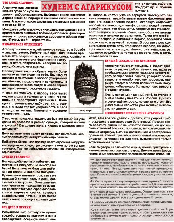 Агарик гриб 100 гр. в Казани