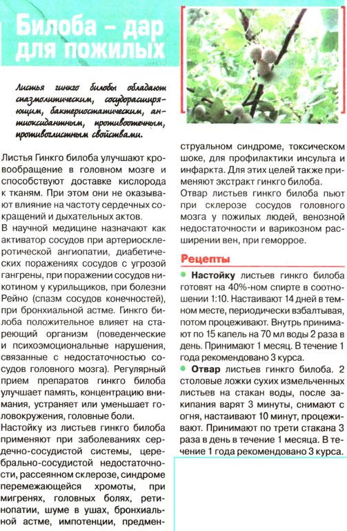 Гинкго билоба, лист 50г в Казани