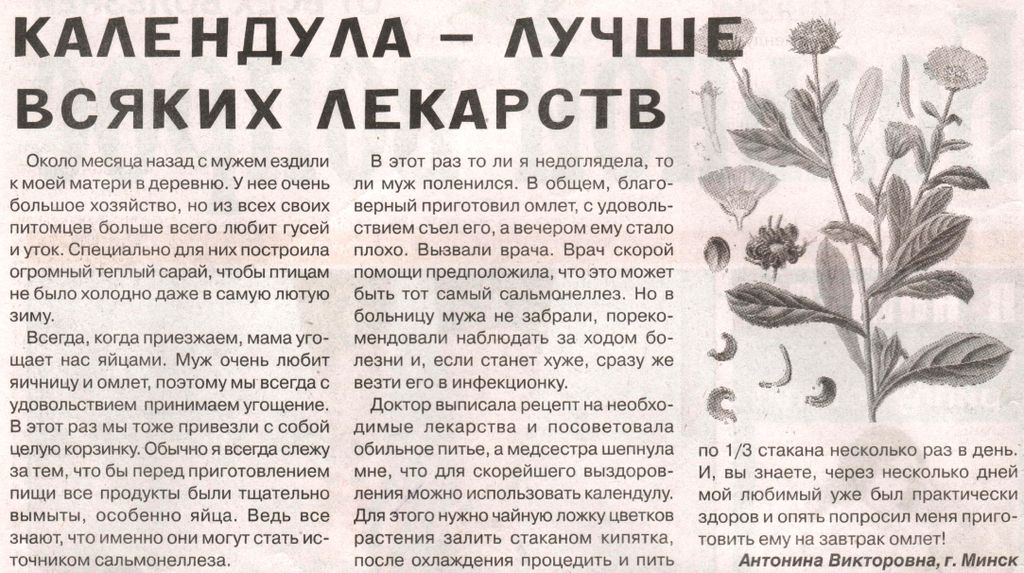 Календула цветы 100 гр. в Казани