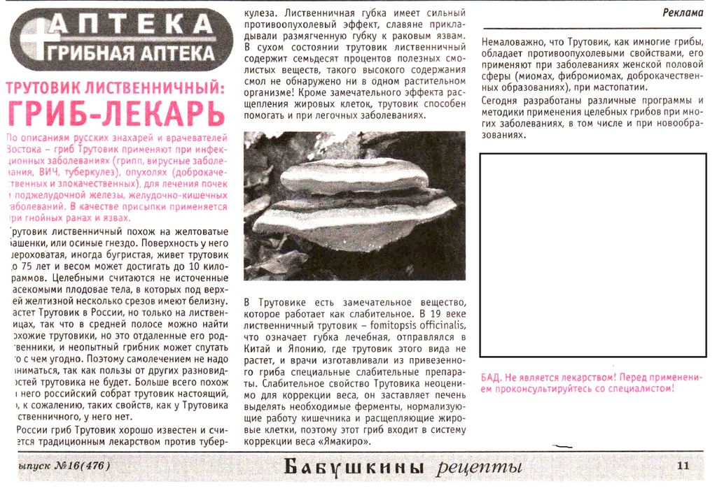 Трутовик лиственичный  (рубленный кусочками) 100г в Казани