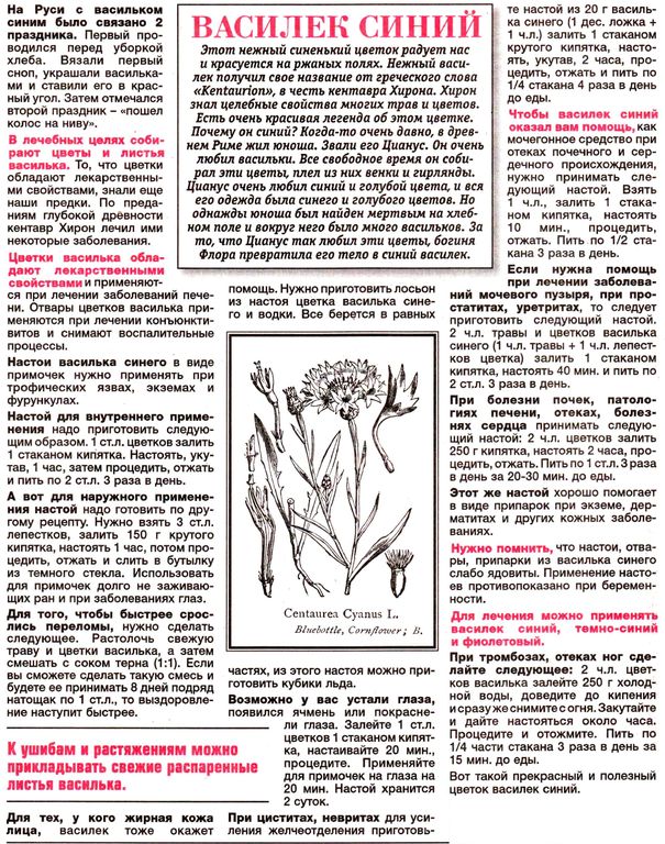 Василек цветки 100 гр. в Казани