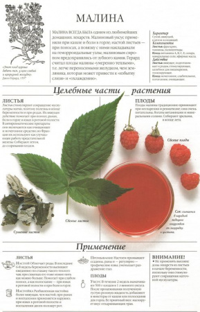 Малина лист 250 гр. в Казани
