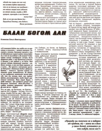 Бадан лист 100 гр. в Казани
