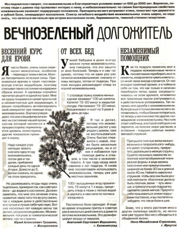 Можжевельник плод 100 гр. в Казани