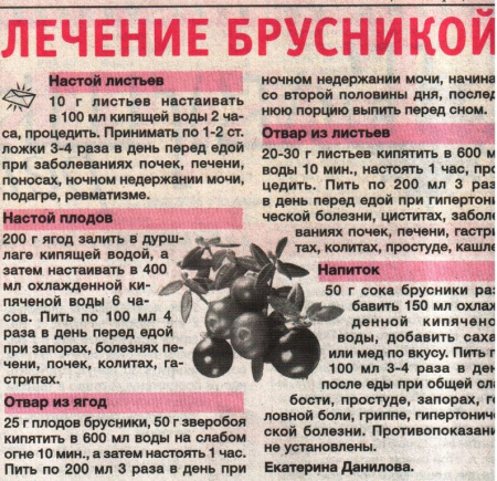 Брусника лист 100 гр. в Казани