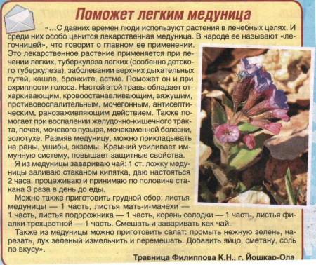 Медуница трава 100 гр. в Казани