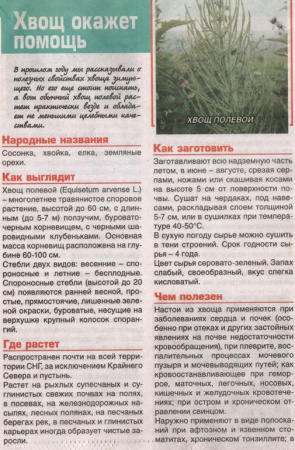 Хвощ трава 200 гр. в Казани