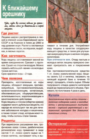 Лещина лист 200 гр. в Казани