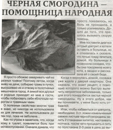 Смородина лист 200 гр. в Казани