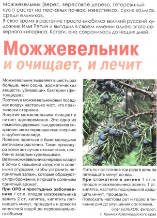 Можжевельник плод 100 гр. в Казани